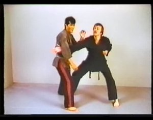 Сикэндо, боевые приемы Тадаси Ямаситы. Ч 2