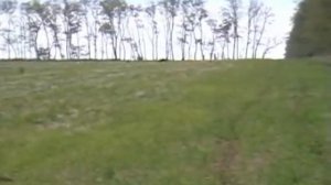 467. Испытания борзых. 18 +