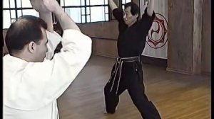 Дзёсинмон Сёрин рю Карате до  семинар Хошу ИКЕДЫ   1 1