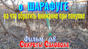 Шарафуга Фильм 8. Какой СТВОЛИК у Шарафуги? Что нужно знать при покупке? Секреты Садовода.