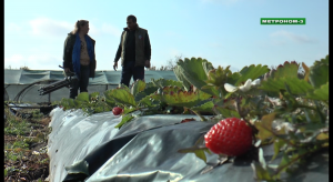 ЛПХ Григория Куклина из села Ванновского Тбилисского района Краснодарского края