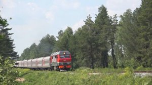 Летний пассажирский поезд на тихой железнодорожной линии во Владимирской области