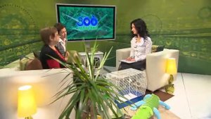 Как ухаживать за канарейкой