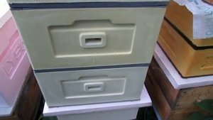 одна из методик вывода хороших пчелиных маток на пасеке в июне