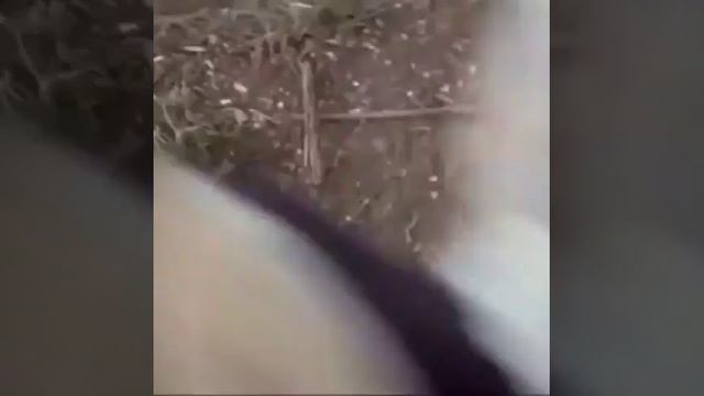 Не хочет давать молоко смотреть онлайн