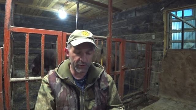 Картошка "По-Тужеблиновски" / Фирменное блюдо СКБ смотреть онлайн