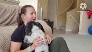 НЕСБЫВШЕЕСЯ СЧАСТЬЕ ПО СОБСТВЕННОМУ ЖЕЛАНИЮ #кристинамотиватор #сша