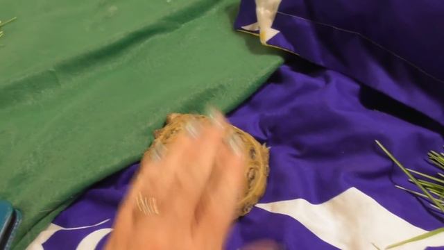 Неугомонные питомцы /Сезон пророщенного овса наступил смотреть онлайн