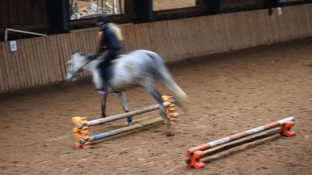 BACK TO JUMPING?/ КОНКУРНАЯ ТРЕНИРОВКА/ EquestrianEve смотреть онлайн