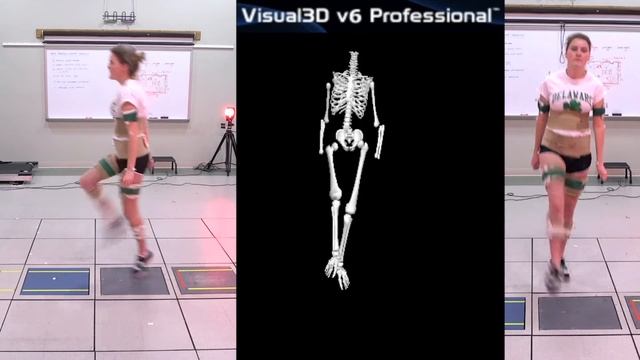 Biomechanics and history of Irish dancing смотреть онлайн