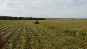 Самодельная ворошилка сделанная из запчастей мотоцикла "Урал".