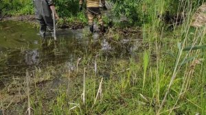 02 | Проект Аренда пруда | Очистка водоёма