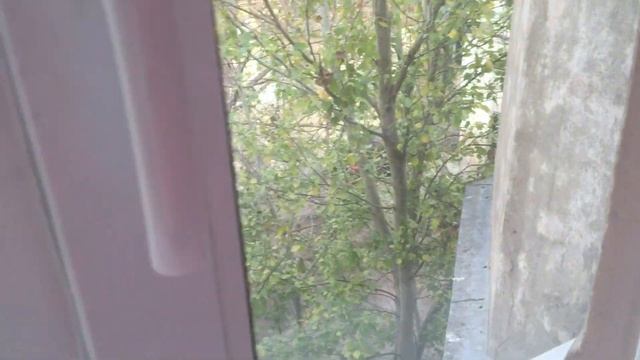 Продажа двухкомнатной выделенной квартиры в коммунальной квартире смотреть онлайн