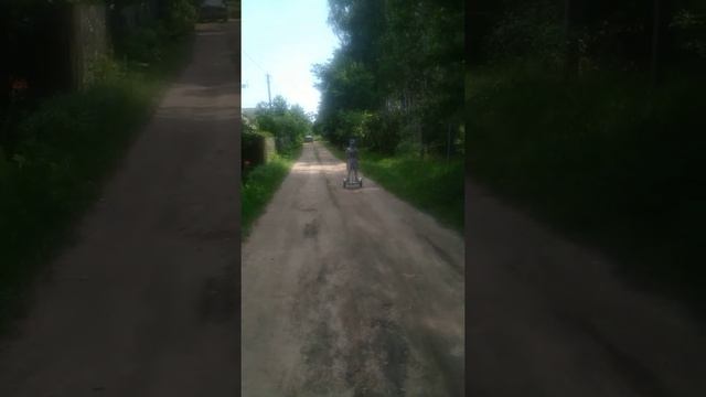 Даник на сигвей смотреть онлайн