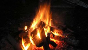 The Dartz--переверни страницу