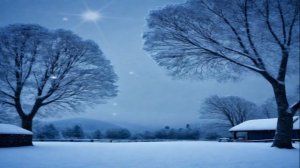 Муж решил вести раздельный бюджет, а на декрет предложил мне самой копить деньги