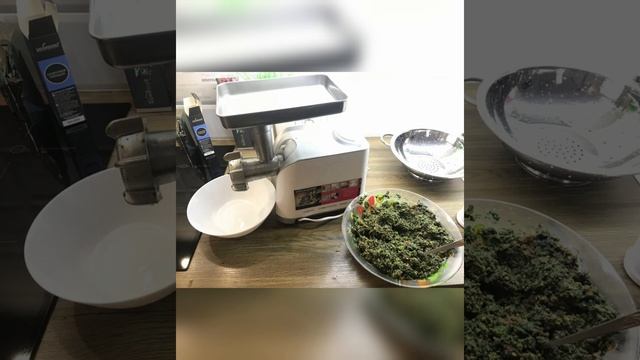 Фарш для дискусов