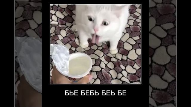 Алё