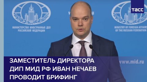 Заместитель директора ДИП МИД РФ Иван Нечаев проводит брифинг