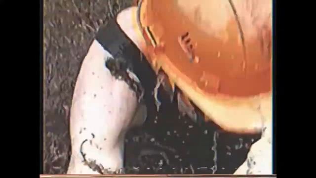 Грибы подболотовики смотреть онлайн