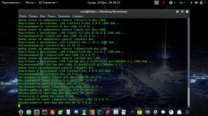 Как скрыть свой IP-адрес на Kali Linux///