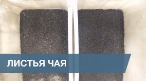 Сортировка Листьев Чая / Tea Leaves Sorting
