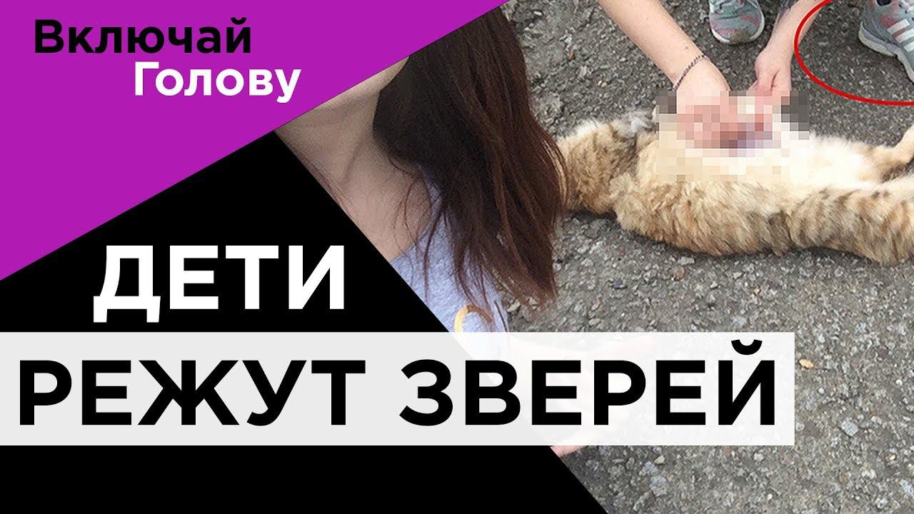 ЖИВОДЕРСТВО (психолого -психиатрические аспекты)