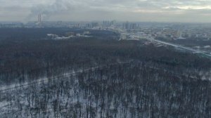 Лосиный остров