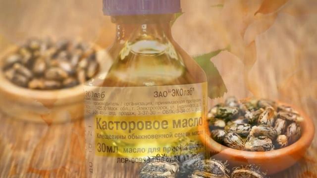 КОМНАТНЫЙ ЦВЕТОК И КАСТОРОВОЕ МАСЛО ДЛЯ ЦВЕТЕНИЯ ДОМАШНЕГО РАСТЕНИЯ смотреть онлайн