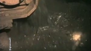 Чёрно белый вальс