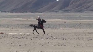 Прогулка в горы через пустыню на лошадях с HORSERIDING HURGHADA