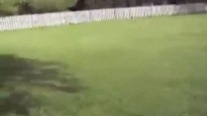 Бабка на скутере сквозь забор