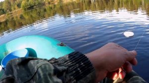 ЛОВЛЯ ЩУКИ НА КРУЖКИ.ЩУКА РВЁТ ЛЕСКУ.РЫБАЛКА НА КРУЖКИ.