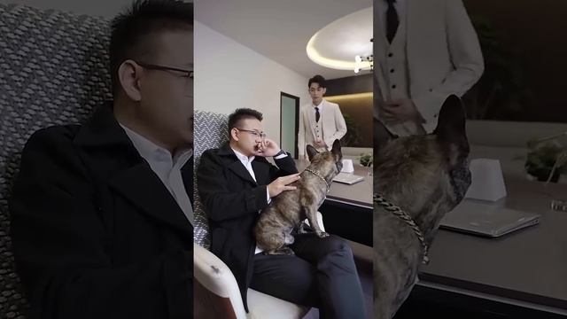 Chủ tịch nói không thích con gái nhưng chiều chuộng và đáp ứng mọi yêu cầu của cô смотреть онлайн