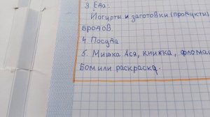 уточка Милка уезжает?!? что я беру Милке?? идея @senya diy