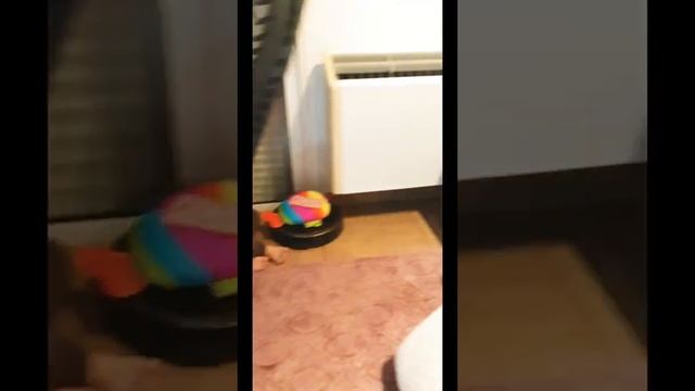 Чудо-зверь. Зачем нужен робот пылесос? смотреть онлайн