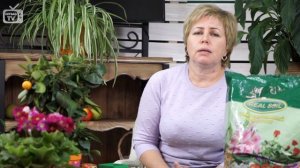Грунты для цветов и рассады ? Гера Real Soil ? Гуматизированный почвогрунт премиум класса