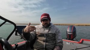 Вся правда про рыбалку с Panoptix, Active-target и  MEGA Live, мифы заблуждения и что Вас ждёт