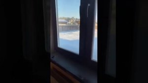 Одноэтажный дом из оцилиндрованного бревна под ключ в стиле Шале (Избу-беру)