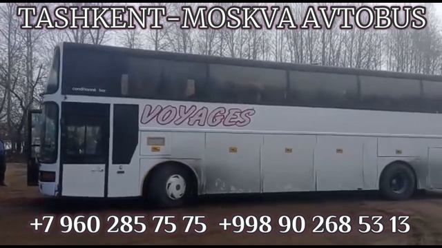 Ташкент Москва автобус #ташкент #москва #автобус /Ташкент Красноярск автобус