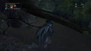 Прохождение Bloodborne™  Часть 21 Путь к боссу в Запретном Лесу