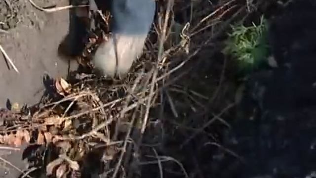 Теплые грядки смотреть онлайн