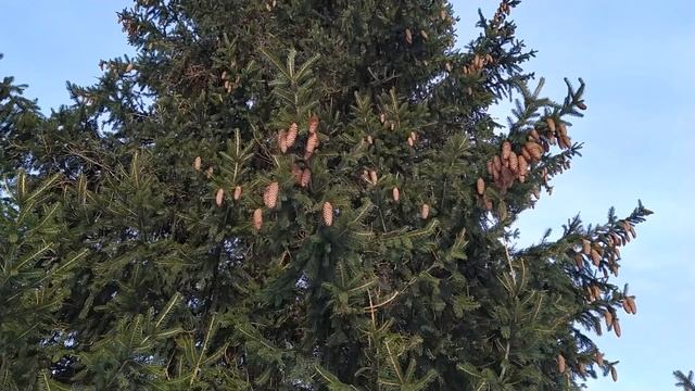 14 марта-ДЕНЬ ЕВДОКИИ.Бабья дата.Покойным прощаются грехи. Только для женщин.Народные приметы смотреть онлайн