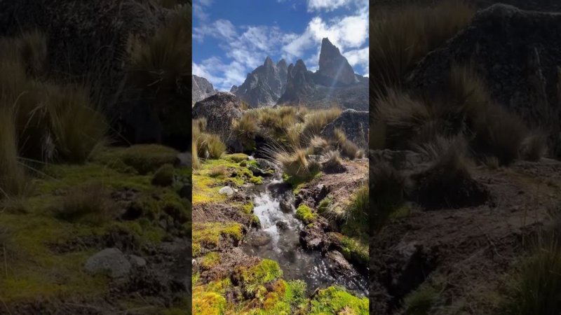 Гора Кения. Африка прекрасна ️ Mount Kenya. Africa is amazing ️