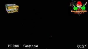 Салют "Сафари" 49 зарядов