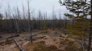 Регион 88 | Промысел соболя 2022. Часть 7