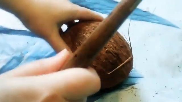 Как ОТКРЫТЬ КОКОС МЕНЬШЕ ЧЕМ ЗА 15 СЕКУНД?!
