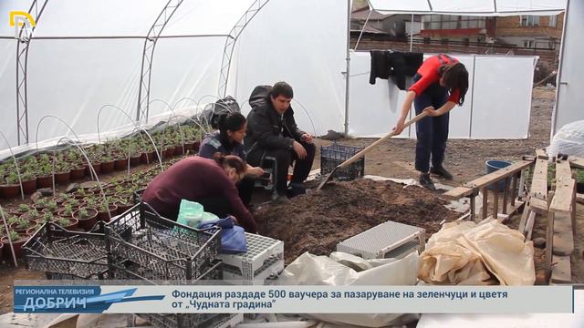 Фондация раздаде 500 ваучера за пазаруване на зеленчуци и цветя от „Чудната градина” смотреть онлайн