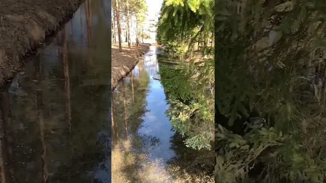 Екатерининский парк и прогулка с прекрасным музыкальным сопровождением.??♀️?