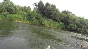 Nories Worming Crank Spin Shallow 35F ...ГОЛАВЛЬ И ЯЗЬ Малой Реки !